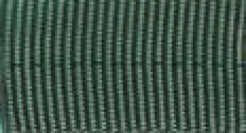 1NylonTubularWebbinginSageGreen