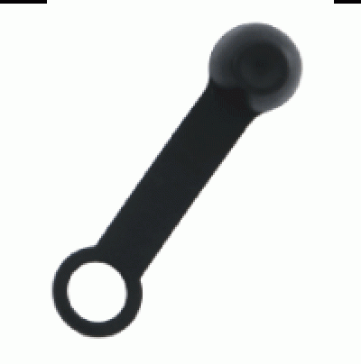 RegulatorDustCapSmall