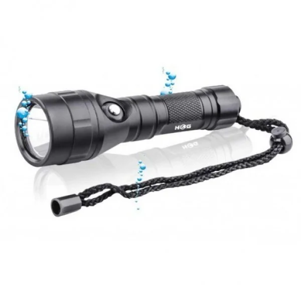 HogLed1000Lumen