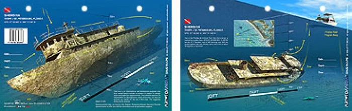 SheridanTugTampaFlorida