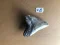 4 1/4" Inch Megalodon Shark Tooth #5K ** Please read details on Shipping inside!**