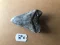 3 3/4" Inch Megalodon Shark Tooth #7K ** Please read details on Shipping inside!**