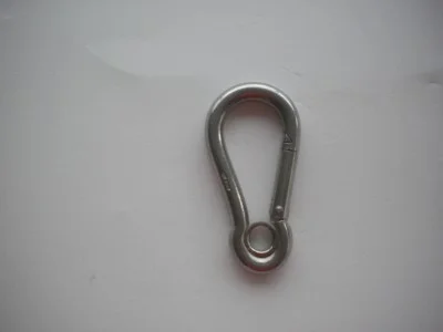 234SSCarabinerwGrommet