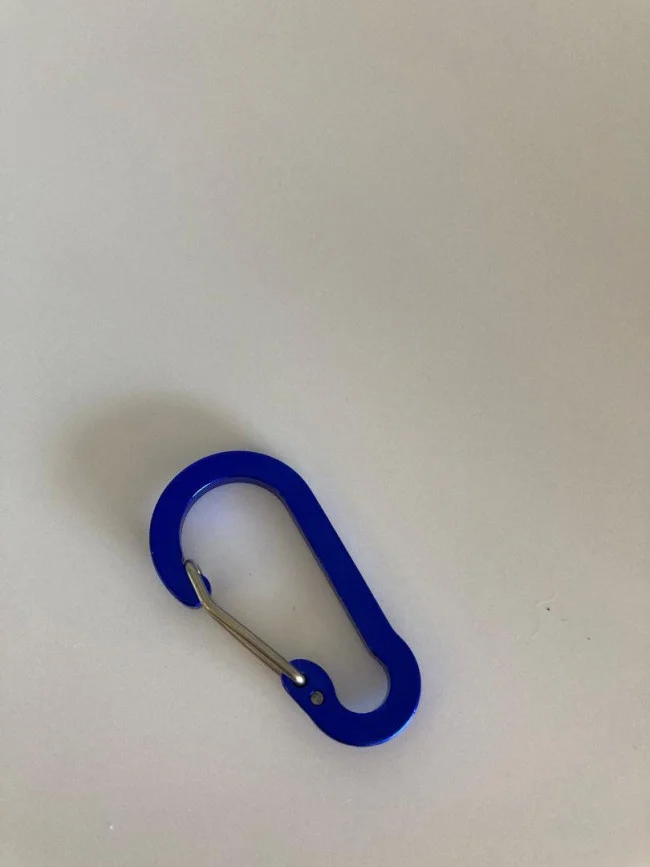 2InchAluminumBlueFlatCarabinerwStainlessswinggate