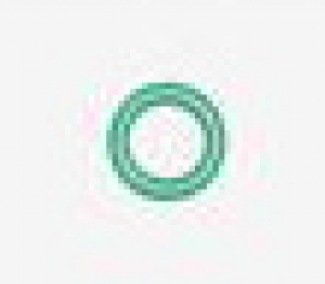 O-RingstemViton