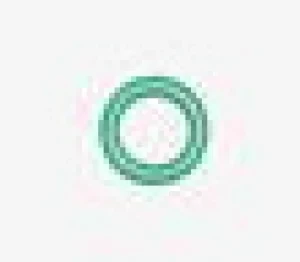 O-Ring stem (Viton) - Product Image