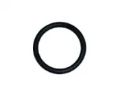 Tank O-Ring (Viton) - Product Image