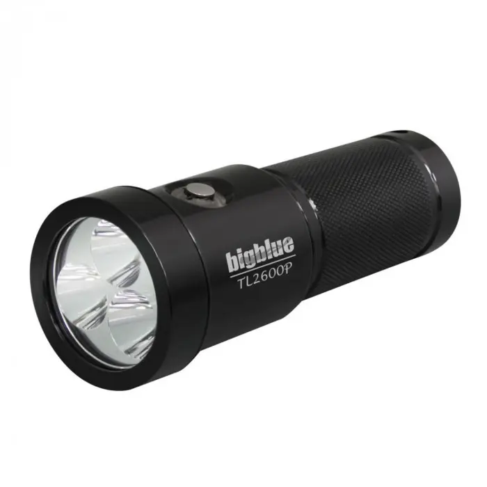 2900-LumenWide-BeamTechLightBlackBody