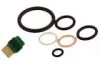 Valve Rebuild Kit for Blue Steel Valves - Product Image