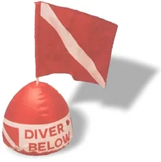 Back in Stock SPECIAL! Inflatable Dive Flag - Product Image