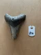 3 1/2" Inch Megalodon Shark Tooth #21K ** Please read details on Shipping inside!**
