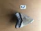 4 1/4" Inch Megalodon Shark Tooth #9K ** Please read details on Shipping inside!**