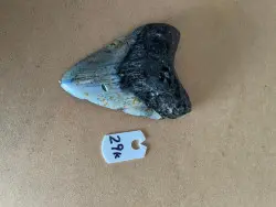 4.0" Inch Megalodon Shark Tooth #29K ** Please read details on Shipping inside!** - Product Image