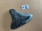 5.0" Inch Megalodon Shark Tooth #25K ** Please read details on Shipping inside!**