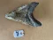 5.0" Inch Megalodon Shark Tooth #27K ** Please read details on Shipping inside!**