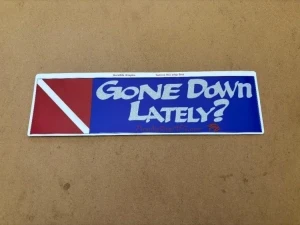 Back in Stock! Gone Down Lately Decal