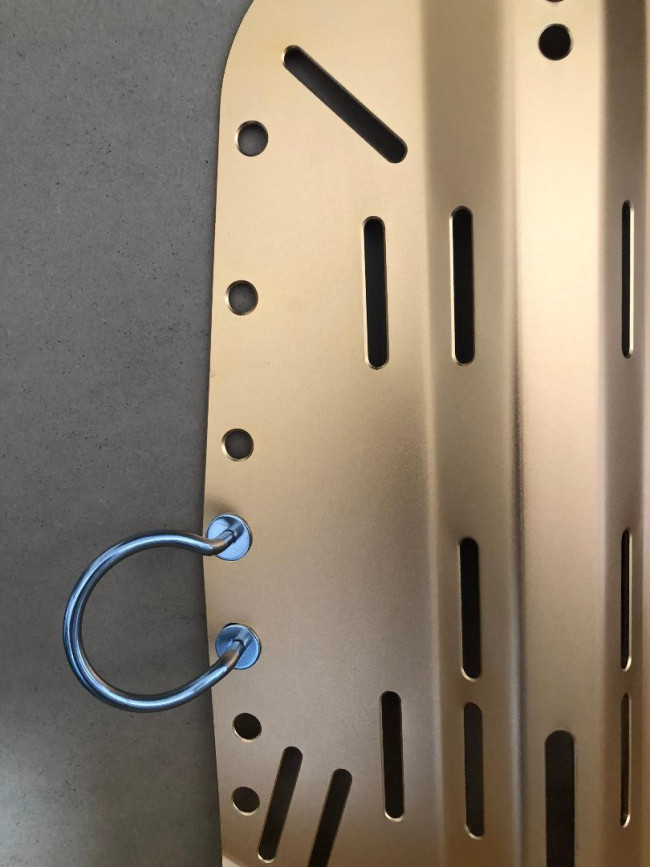 NewBackplateRingLoopSingleLoop