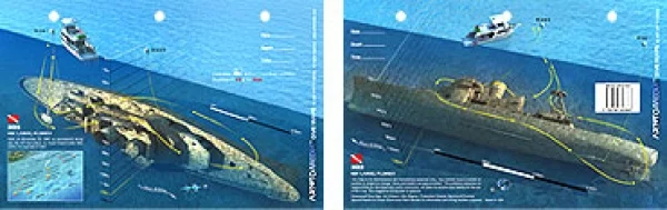 BibbFloridaKeysKeyLargo