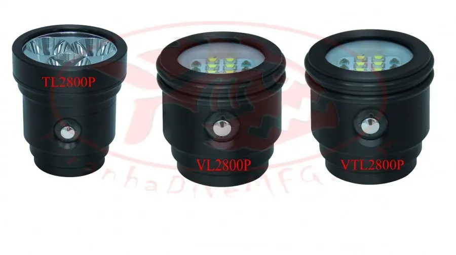 BigBlueLightheadsLightHeadsOnly