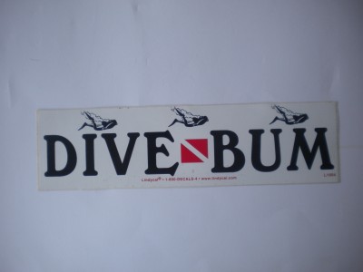 DiveBumDiverDecal