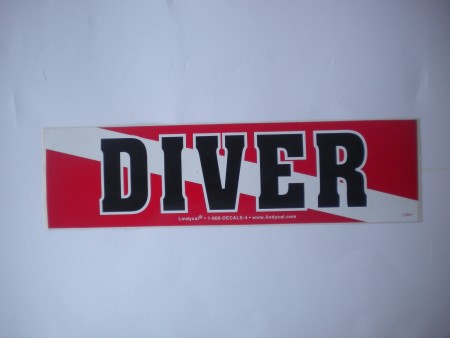 DiveronFlagDecal