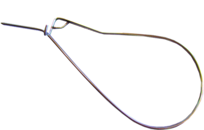FishStringerFloridaSpecial15inchLoop