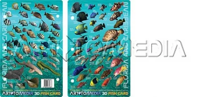 FloridaCaribbeanFishIDCard