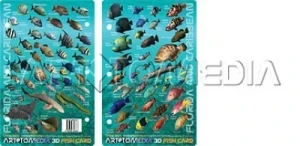 Florida & Caribbean Fish ID Card