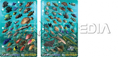 FloridaKeysCaribbeanFishID3DDiveMAP