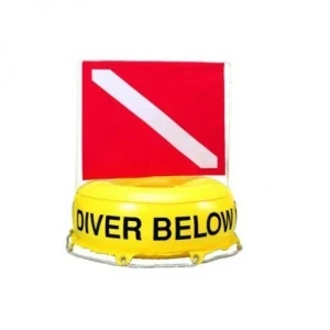 Large Inflatable Flag-N-Float  - Product Image