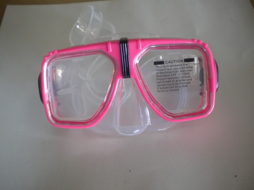NavigatorMaskwithhardplasticcasePinkTrimClearSkirt1Only
