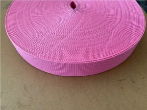 Back in Stock! 2 Inch Nylon Webbing  "Standard Stiffness"  Soft PINK - Product Image