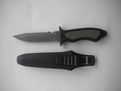 PointedTitaniumKnifecompletewithhardplasticshealthincluded1thisprice