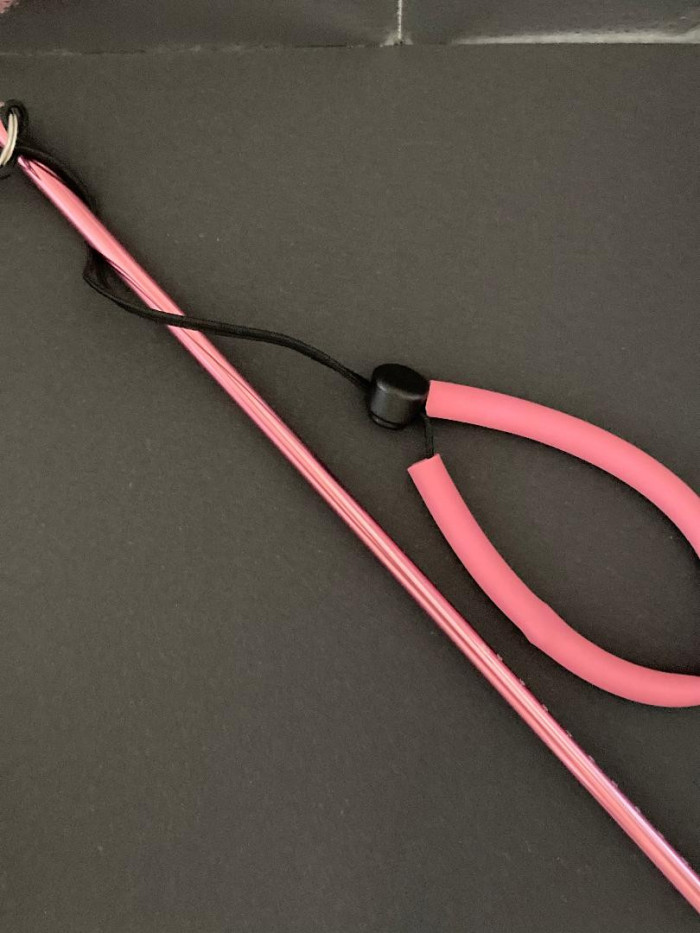 SpecialPinkPointerwithAdjustableLanyardinAluminum