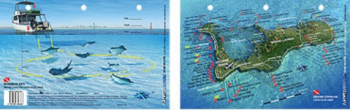 StingrayCityGrandCaymen