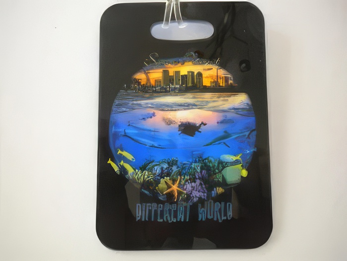 Different World Luggage Tag   "One Tag Price"