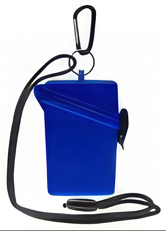 Keep It Safe Case BLUE