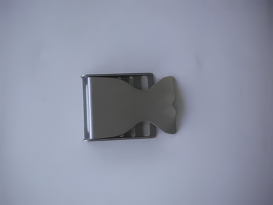 Whale Tail Stainless Steel Buckle