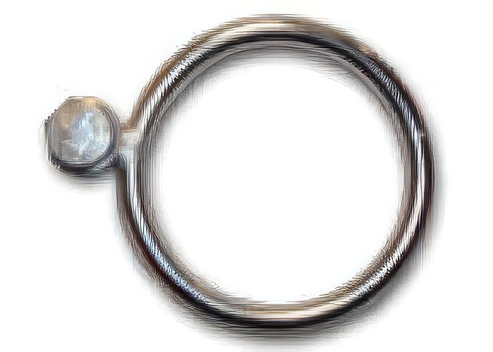 Backplate Ring Nut (SINGLE Ring Nut!)  - Product Image