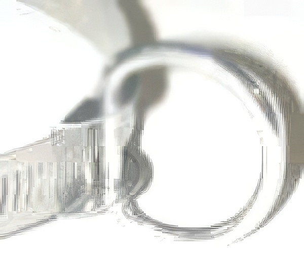 1" Inch Stainless Steel D-Ring Combo "small" - Product Image