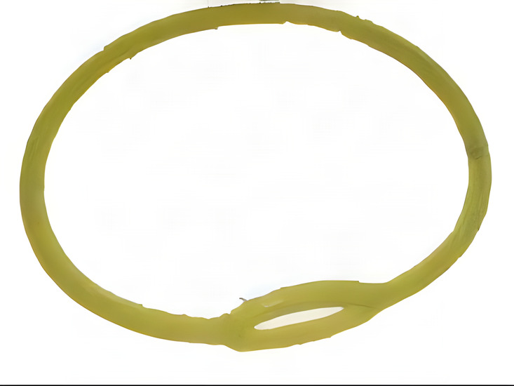 Regulator Necklace Yellow - Product Image